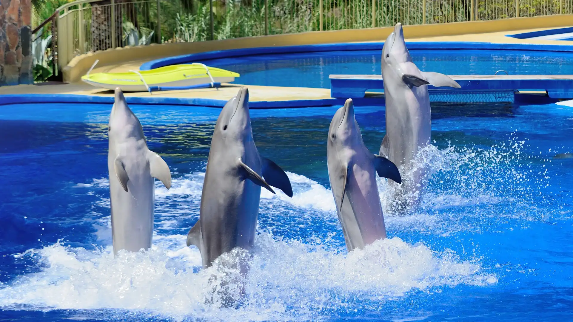 Day 6: Safari World & Marine Park Tour