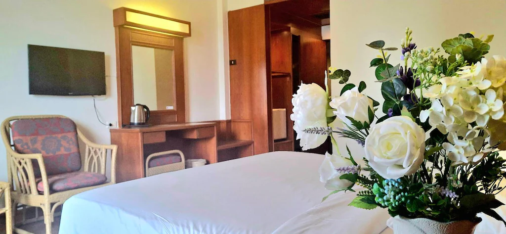 Superior Double or Twin Room