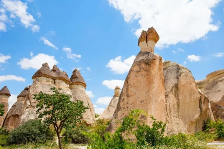 Pasabag (Monk Valley) cappadocia